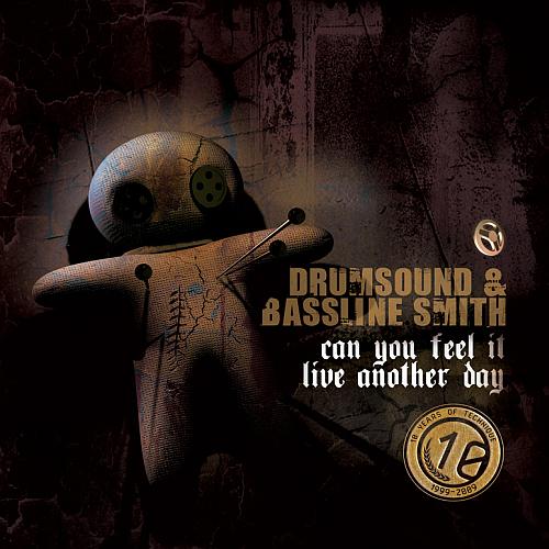 Drumsound & Bassline Smith Can You Feel It